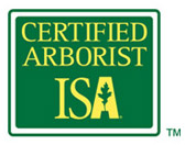 logo certified isa